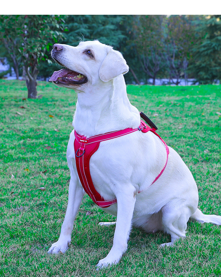 Reflective Dog Harness with Leash, No-Pull Vest Harness for Dogs, Adjustable Dog Vest with Handle, Walking Training Pet Harness xs size - Macaw And Friends