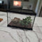 Reptile Enclosures