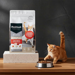 Collection image for: Cats