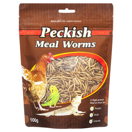 Close-up of Peckish Meal Worms in a container, suitable for reptile and amphibian habitats from Macaw And Friends.
