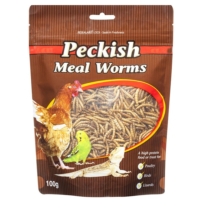 Close-up of Peckish Meal Worms in a container, suitable for reptile and amphibian habitats from Macaw And Friends.