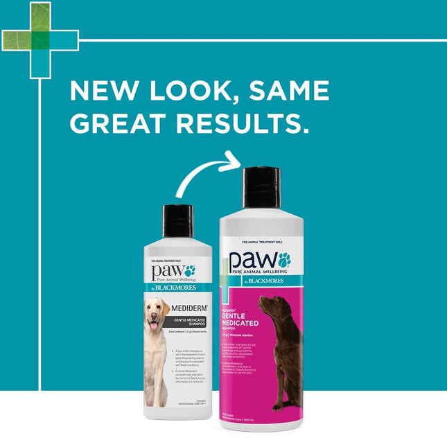 Macaw and Friends PAW MediDerm Shampoo 200ml bottle, gentle pet skincare shampoo with soothing ingredients for dogs and cats.