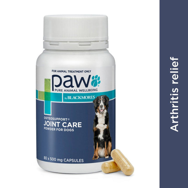 Macaw and Friends PAW Osteosupport joint health care capsules for dogs, 80-count bottle, featuring natural supplement ingredients.