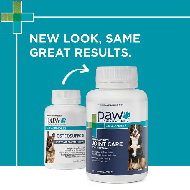 Macaw And Friends PAW Osteosupport joint health capsules for dogs, showing 80 capsules in a container.