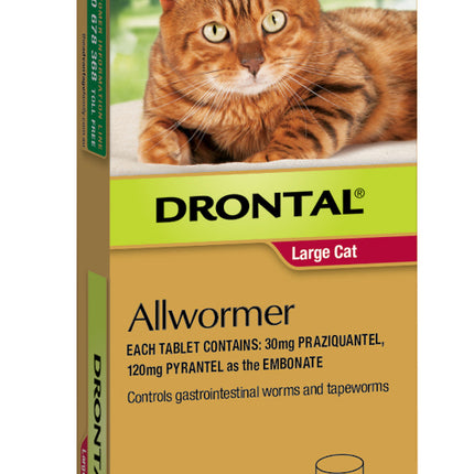 Macaw And Friends Drontal All-Wormer for Cats up to 6kg, showing two tablets in blister pack.