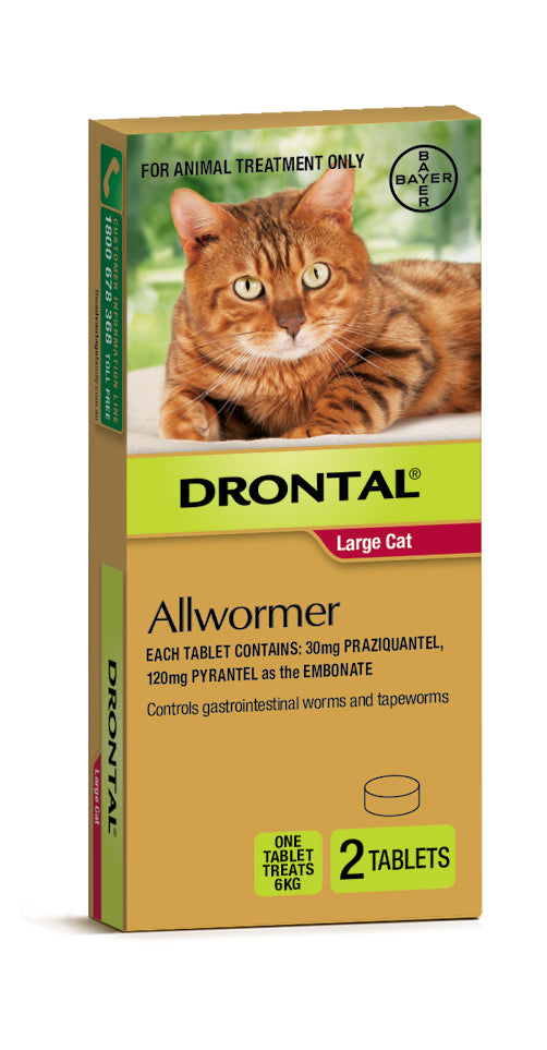 Macaw And Friends Drontal All-Wormer for Cats up to 6kg, showing two tablets in blister pack.