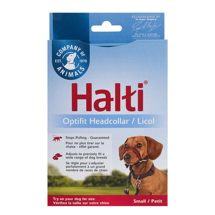 Macaw And Friends Company of Animals Halti Optifit headcollar on a dog, adjustable pet collar for comfortable control and training.