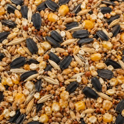 Macaw and Friends Natural Bird Seed Blend