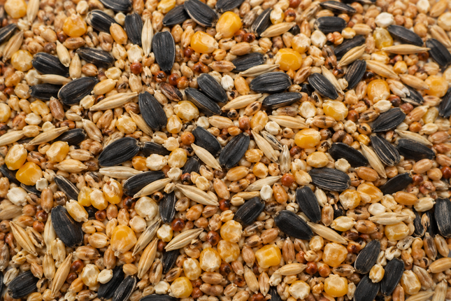 Macaw and Friends Natural Bird Seed Blend