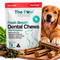 Dog Food & Treats