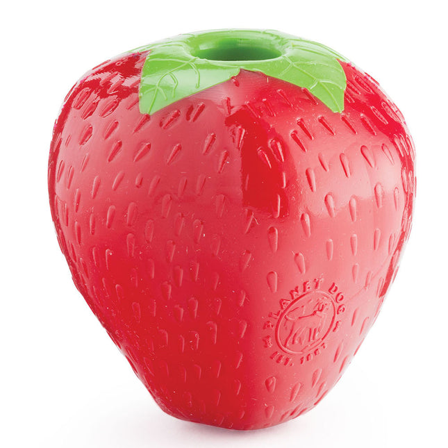 Planet Dog Orbee Tuff Foodies strawberry dog toy by Macaw And Friends, durable rubber toy with textured surface for chewing.