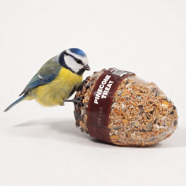 Small, medium, and large forage pinecones bird toys from Macaw & Friends Pet Supplies, designed for bird enrichment and play.