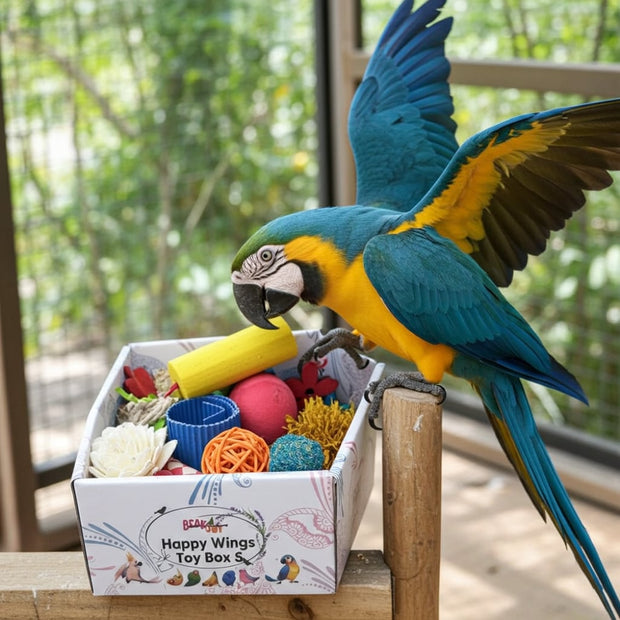 <h2>Premium Bird Supplies</h2>