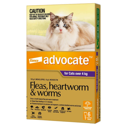 Six packs of Macaw And Friends Advocate Flea and Wormer Spot-On for cats over 4kg, showing applicator bottles and product packaging.