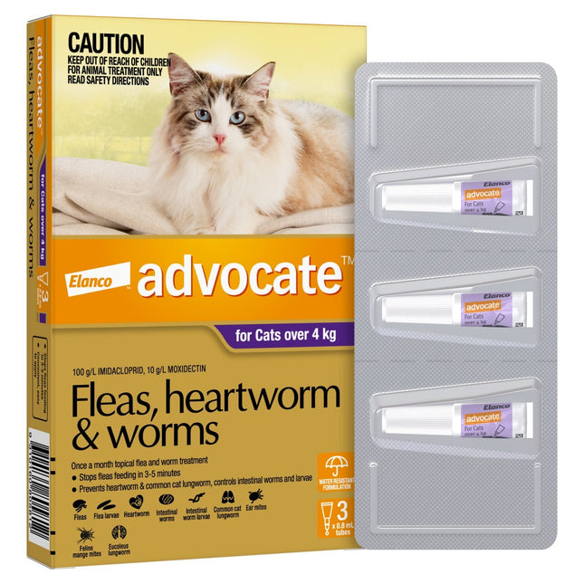 Macaw and Friends Advocate Flea and Wormer Spot-on for cats over 4kg, 3-pack, showing the applicator and packaging.