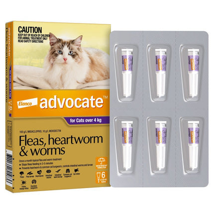 Six-pack of Macaw and Friends Advocate Flea and Wormer Spot-On for cats over 4kg, showing the medication applicators.