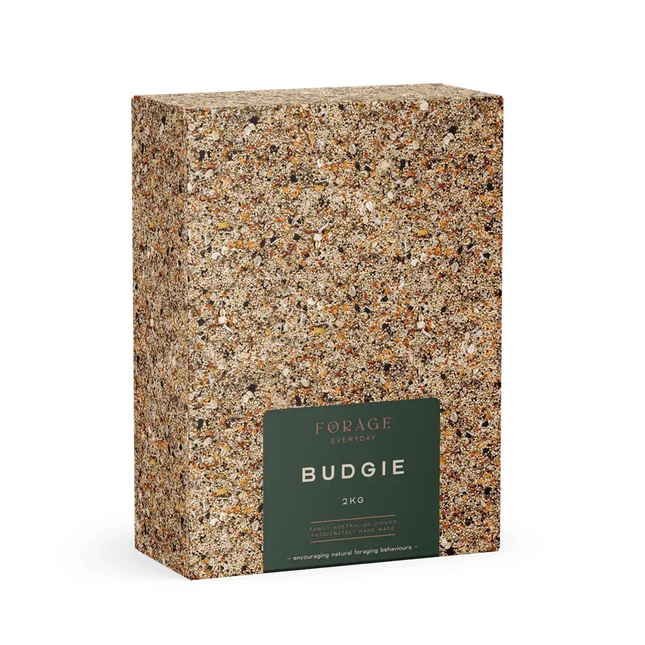 Forage Everyday Budgie bird cage accessory by Macaw And Friends, designed for pet bird enrichment and feeding.