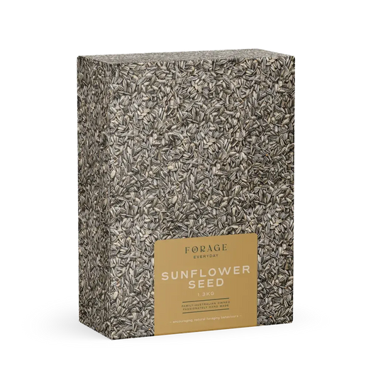 Forage Everyday Sunflower 1.3Kg