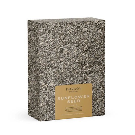 Forage Everyday Sunflower 3.5Kg