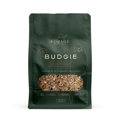 Forage Gourmet Budgie bird cage accessory by Macaw and Friends, designed for pet budgies to forage and enrich their environment.