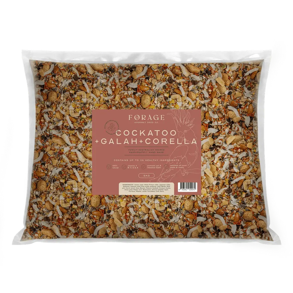 Forage Gourmet Cockatoo Galah & Corella 5Kg - Macaw And Friends