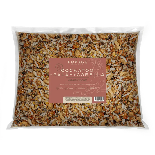Forage Gourmet Cockatoo Galah & Corella 5Kg - Macaw And Friends