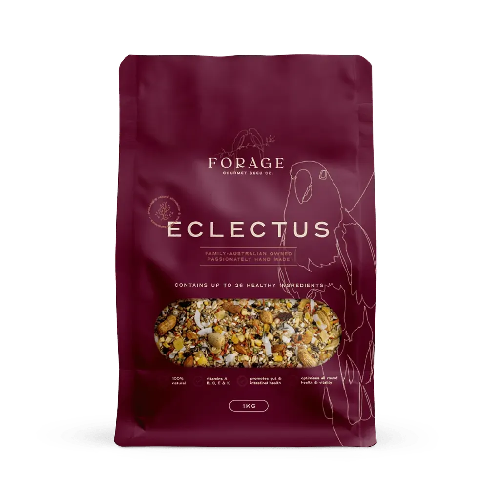 Forage Gourmet Eclectus 1Kg - Macaw And Friends