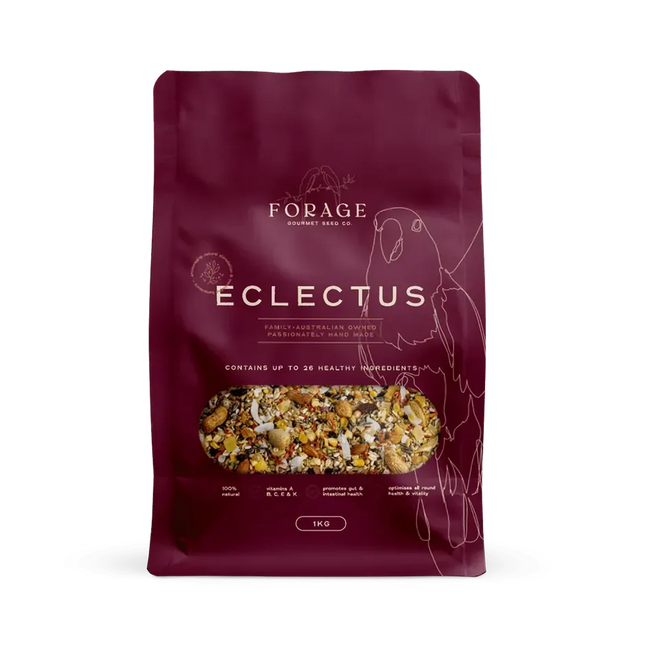 Eclectus parrot forage gourmet mix in a bird cage accessory from Macaw And Friends for healthy bird nutrition.