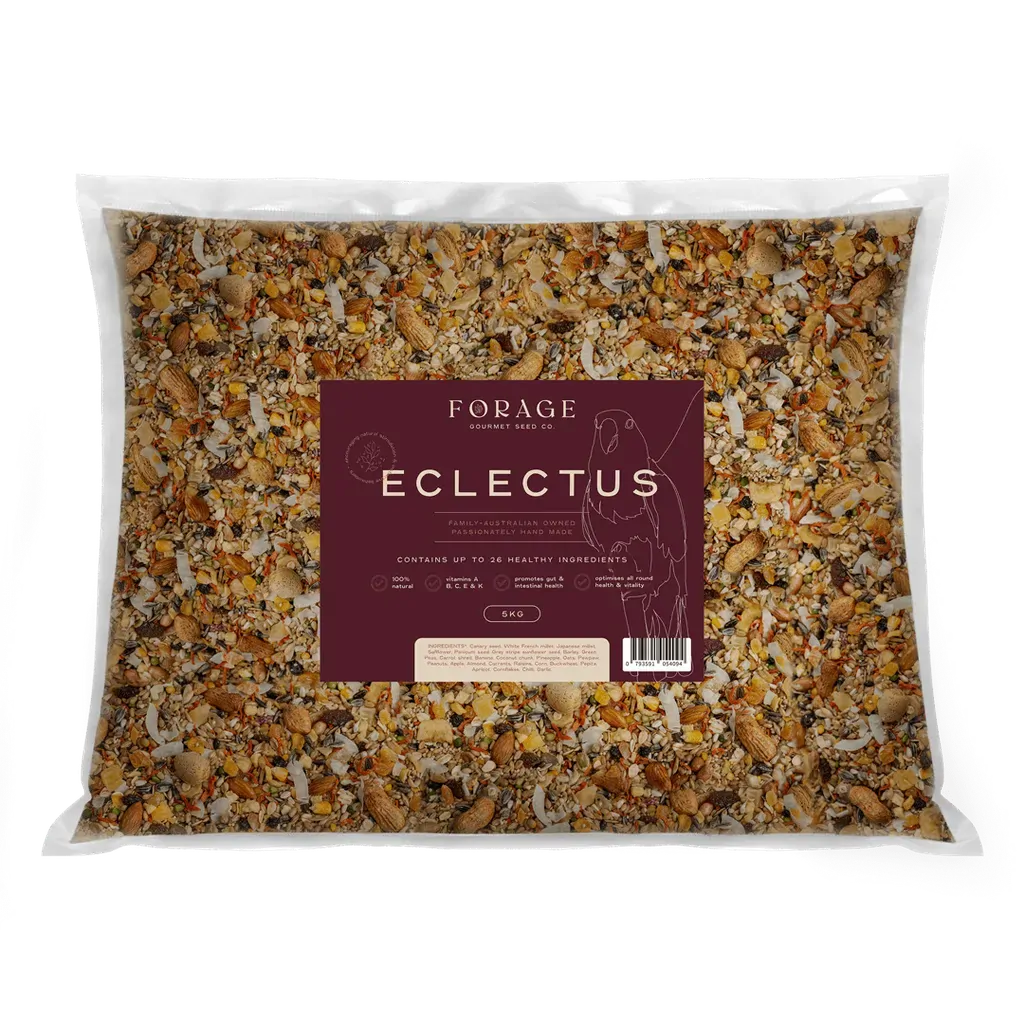 Forage Gourmet Eclectus 5Kg - Macaw And Friends