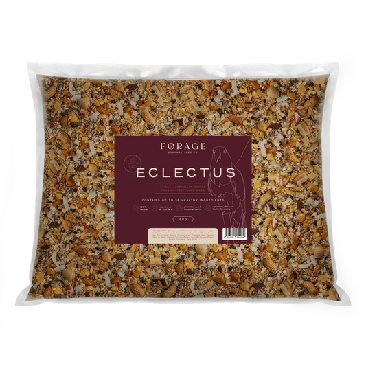 Forage Gourmet Eclectus 5Kg - Macaw And Friends