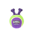 Tennis Ball