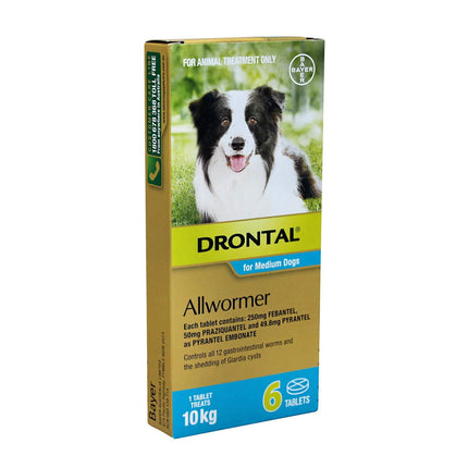 Box of Drontal All-Wormer tablets for medium dogs up to 10kg, from Macaw And Friends, with six chewable tablets visible.