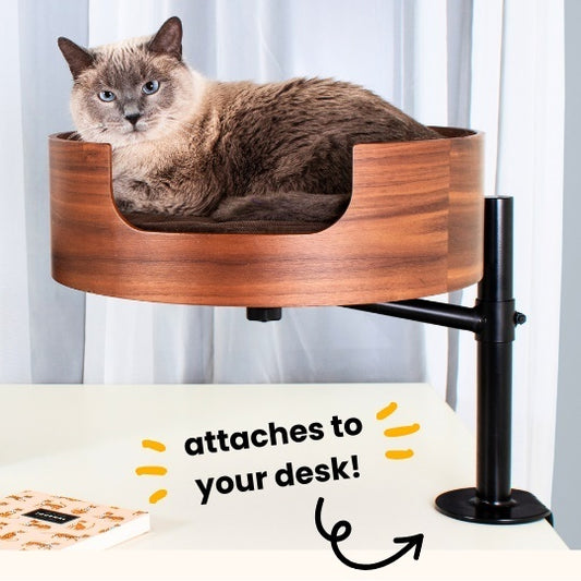 Desk Nest Cat Bed - The Purrfect Cat Bed for Your Desk - Macaw And Friends