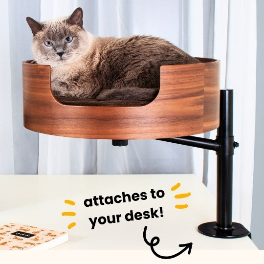 Macaw and Friends Desk Nest Cat Bed showing a cozy, padded cat bed designed for placing on desks, perfect for small cats.