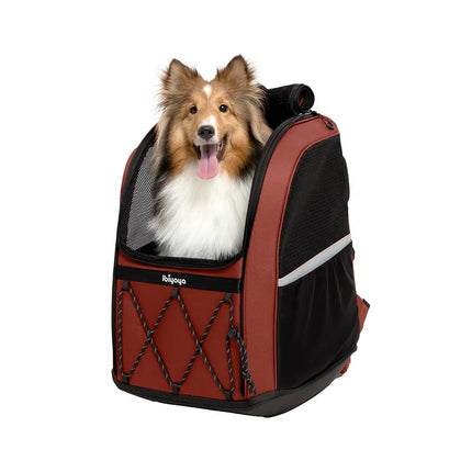 Ibiyaya Champion 3-in-1 dog carrier backpack and car seat by Macaw And Friends, designed for dogs up to 12kg, shown in black.