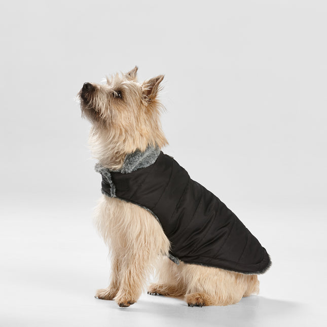 Black fur collar puffer dog jacket by Macaw And Friends, designed for warmth and comfort in pet dog apparel.