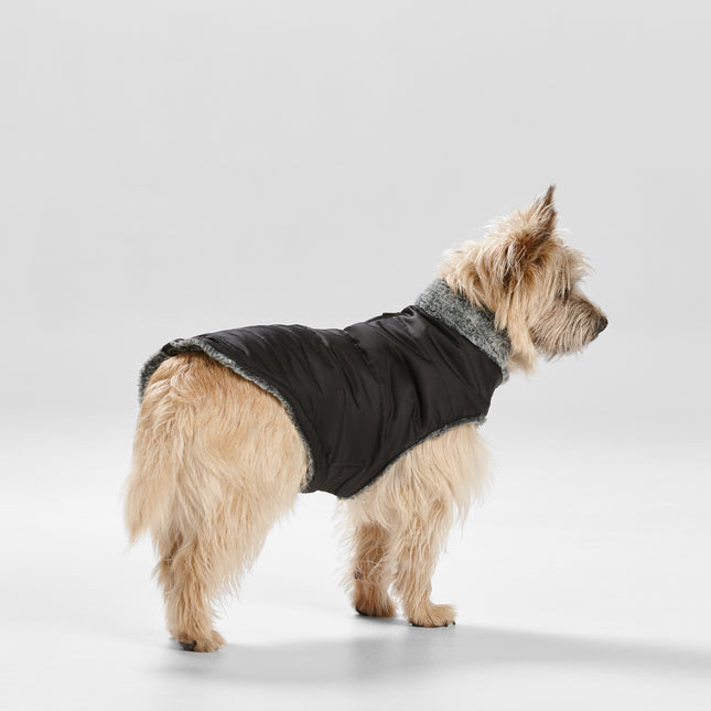 Black fur collar puffer dog jacket by Macaw And Friends from Snooza Wear, featuring a cozy, stylish design for pet comfort.