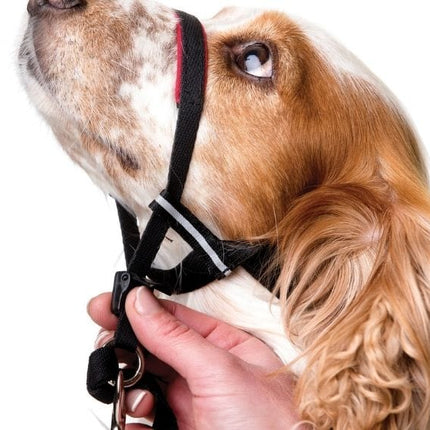 Close-up of Macaw and Friends Halti Optifit Headcollar for dogs, showing adjustable nose strap for a comfortable fit.