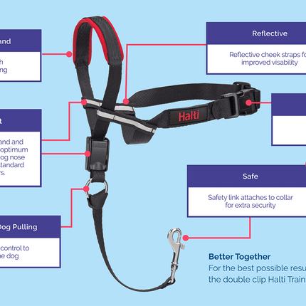 Close-up of the Macaw and Friends Halti Optifit Headcollar showing adjustable straps and durable material for dog training and control.