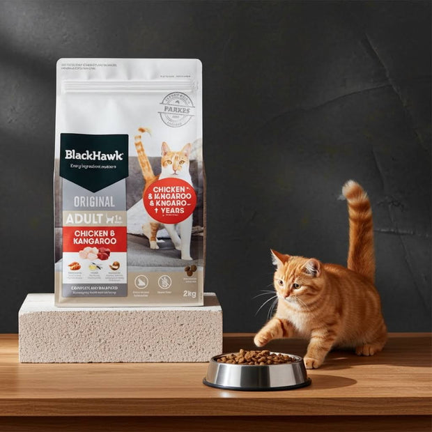 <h3>Shop Cats</h3>