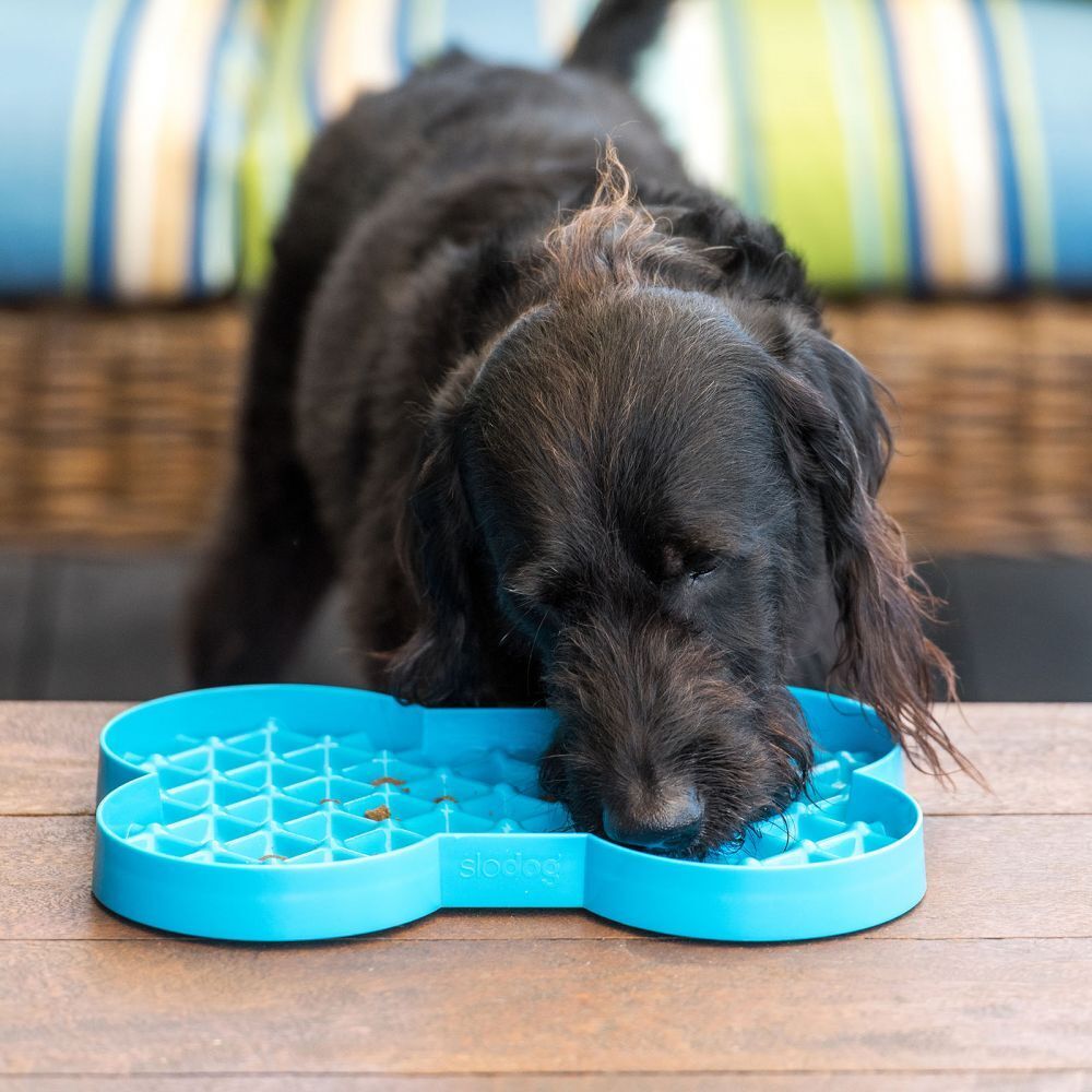 SloDog by Lickimat - Bone-Shaped Slow Food Bowl for Medium & Large Dogs - Macaw And Friends