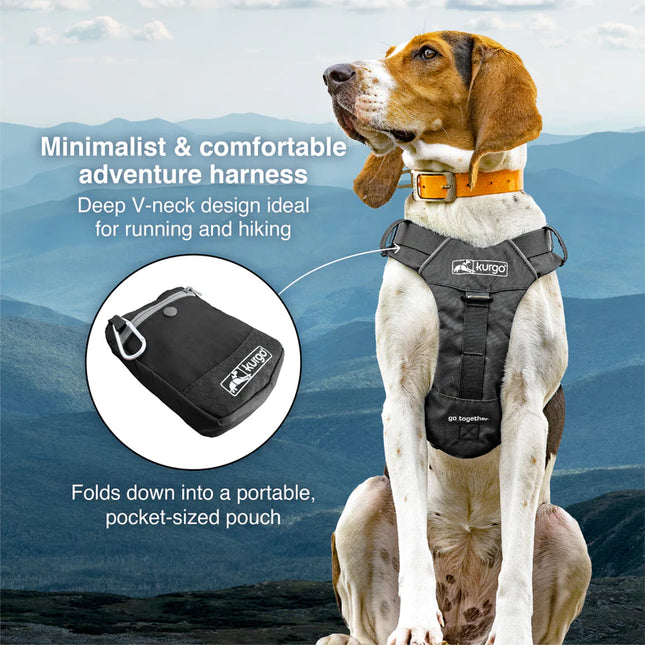 Kurgo Stash n’ Dash large dog harness with adjustable straps and durable design, ideal for secure, comfortable pet walks.