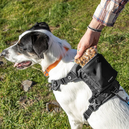 Large Kurgo Stash n’ Dash dog harness in black with adjustable straps and quick-release buckle, designed for secure pet walking.