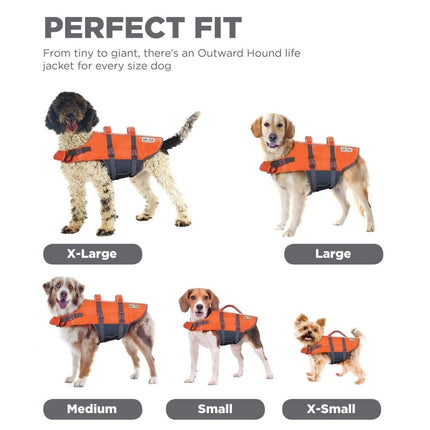 Dog wearing Outward Hound Granby Splash life jacket by Macaw And Friends, shown in various sizes for safe swimming.