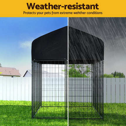Extra large Macaw and Friends dog kennel with metal structure, outdoor house and playpen for pets and puppies in backyard setting.