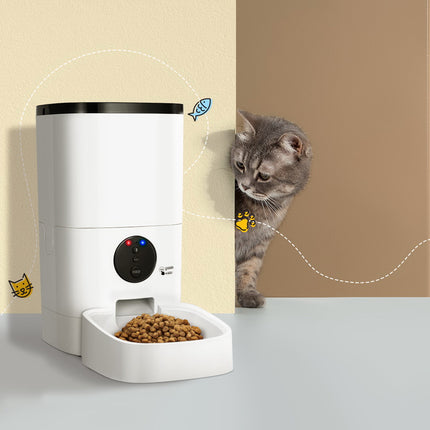 Macaw and Friends i.Pet automatic 6L WiFi pet feeder for dogs and cats with digital timer and smart food dispensing.