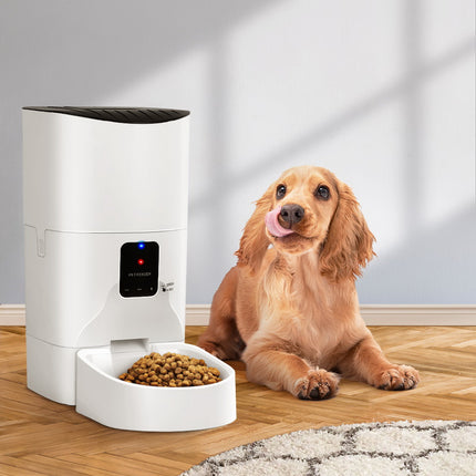i.Pet Automatic 9L WiFi Dog and Cat Feeder by Macaw And Friends with digital timer and smart food dispensing feature