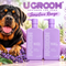 Dog Health & Care