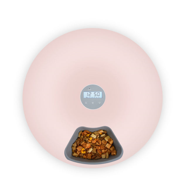 Pink Macaw and Friends 6-meal automatic pet dog and cat food feeder with programmable timer, designed for easy feeding schedules.