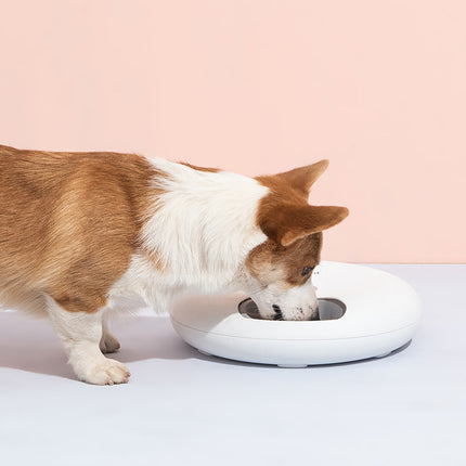 Pink 6-meal automatic pet feeder by Macaw and Friends with programmable timer for dog and cat food dispensing.